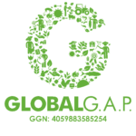globalgapcomprimido